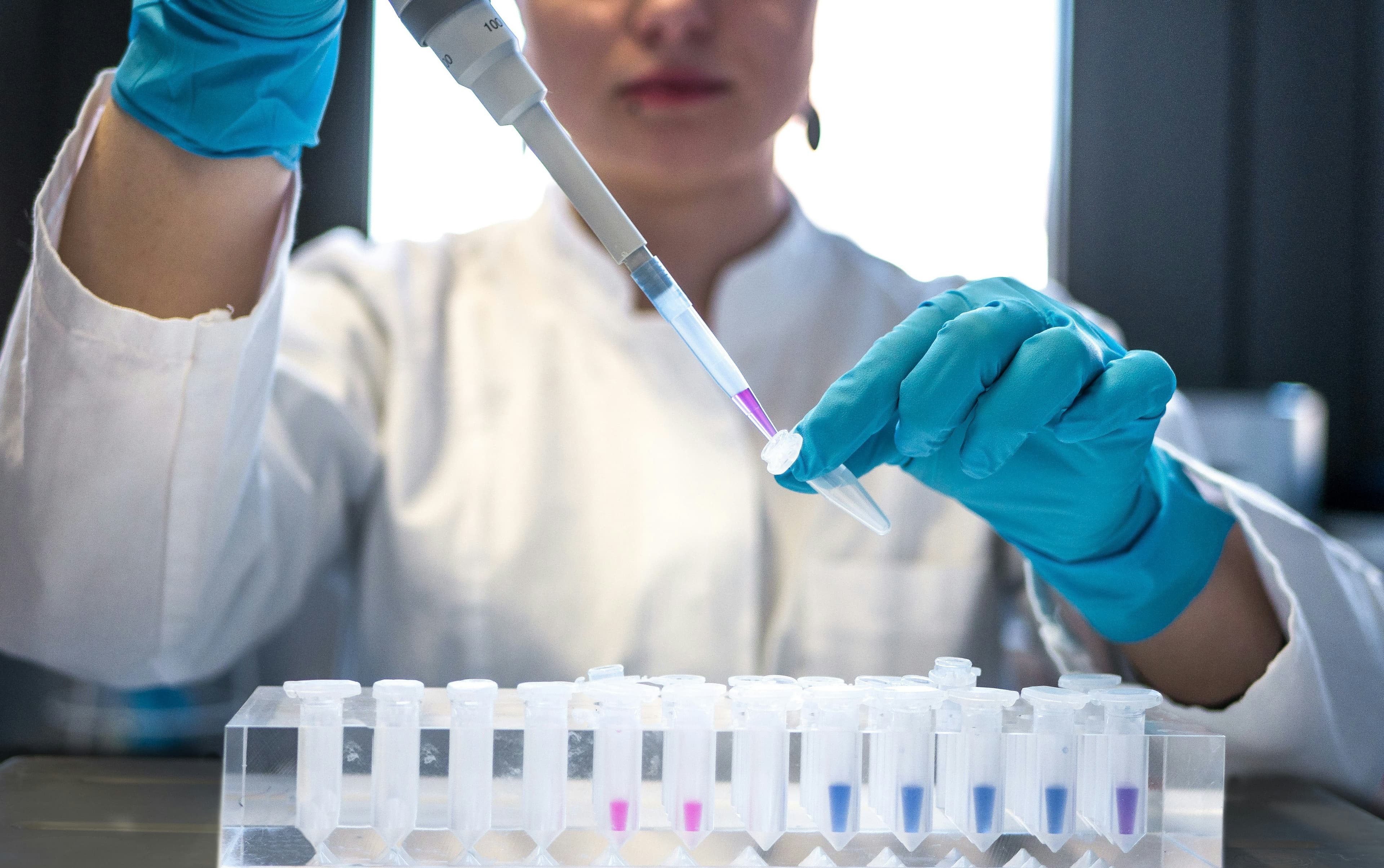 Research and development in laboratory